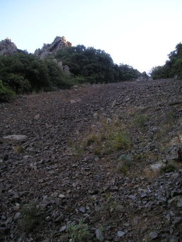 p1010019.jpg