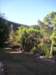 p1010024_small.jpg