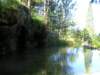 p1010029_small.jpg