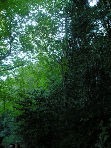 p1010037.jpg