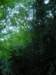 p1010037_small.jpg