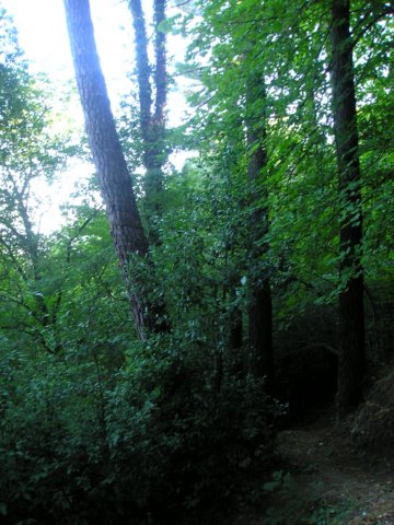 p1010038.jpg