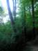 p1010038_small.jpg