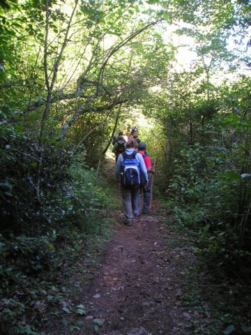 p1010041.jpg