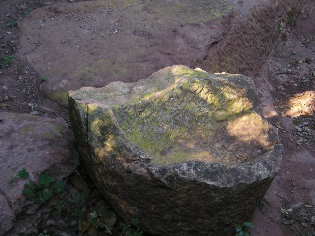 p1010047.jpg