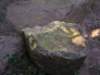 p1010047_small.jpg