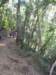 p1010049_small.jpg
