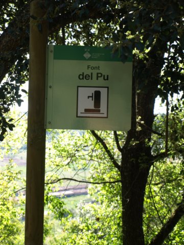 p5232713.jpg
