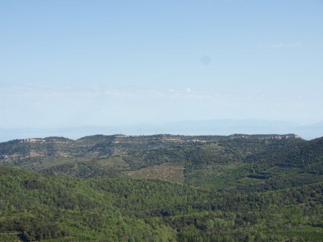 p5232718.jpg