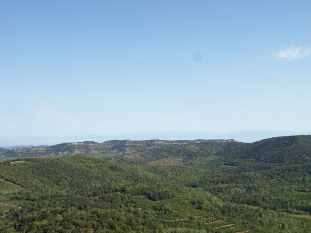 p5232721.jpg
