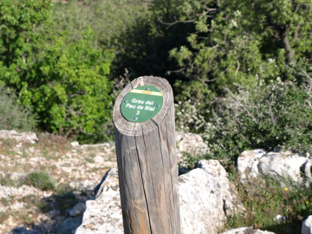 p5232723.jpg