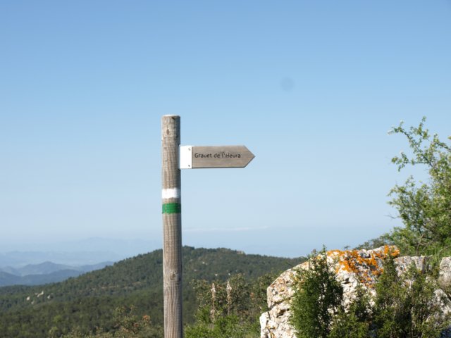 p5232727.jpg