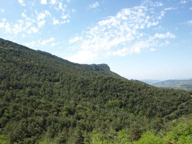 p5232732.jpg