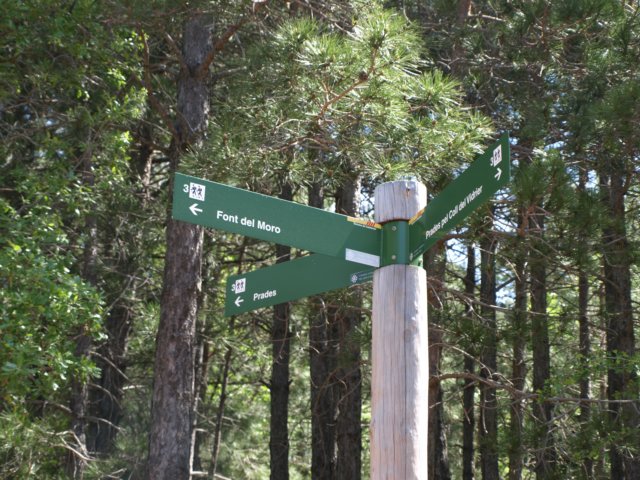 p5232733.jpg