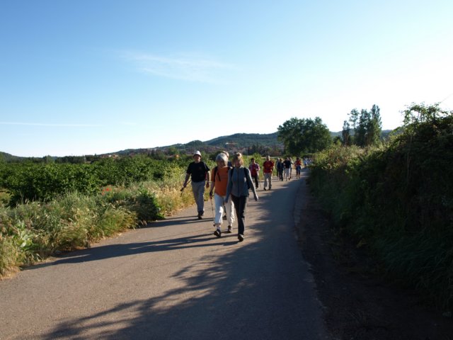 p6132739.jpg