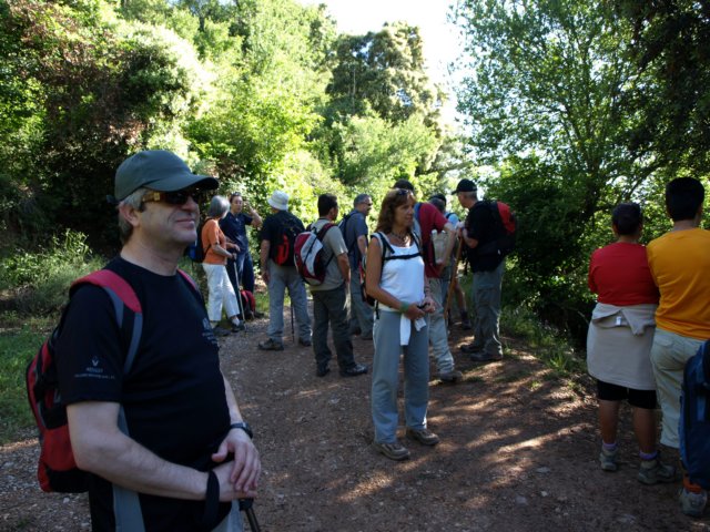 p6132742.jpg