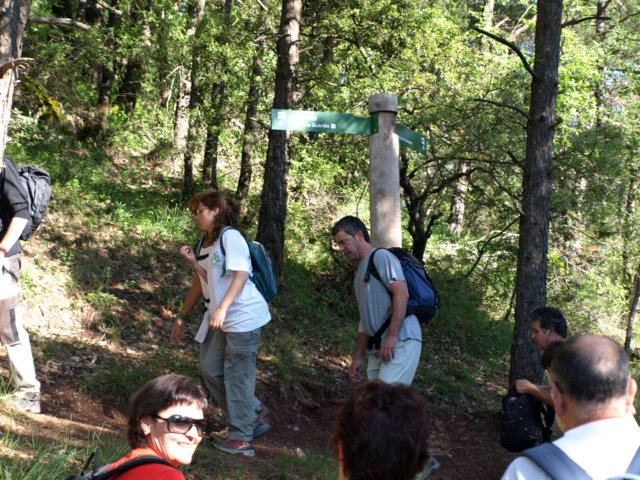 p6132745.jpg