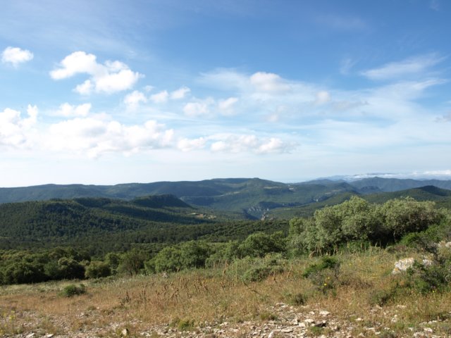 p6132758.jpg