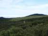 p6132759_small.jpg