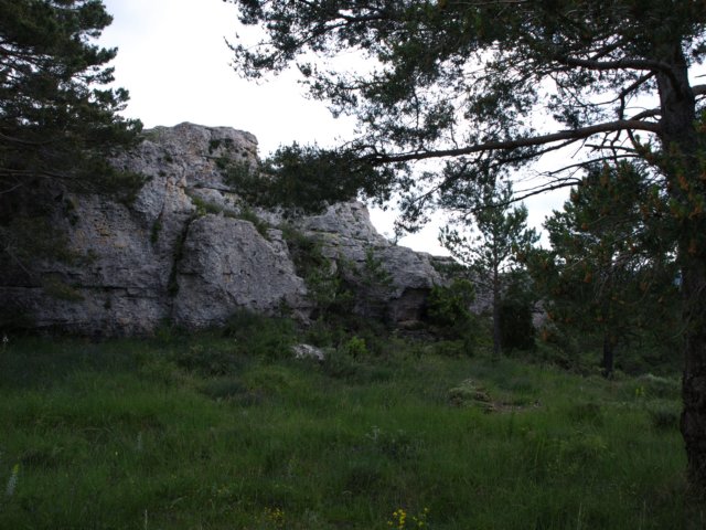 p6132760.jpg