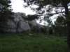 p6132760_small.jpg