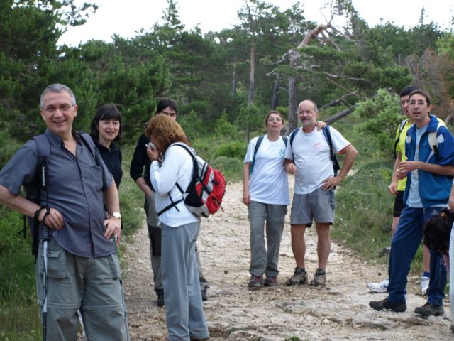 p6132761.jpg