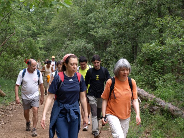 p6132770.jpg