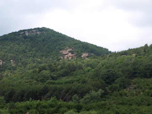 p6132781.jpg