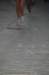dsc_0082_small.jpg