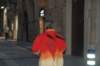 dsc_0097_small.jpg
