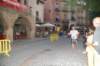 dsc_0500_small.jpg
