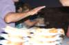 dsc_0573_small.jpg