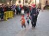 img_0801_small.jpg