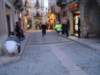 dsc01253_small.jpg