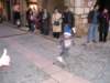 p1010031_small.jpg