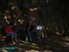imgp0167_small.jpg