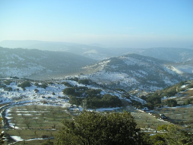 p1010005.jpg