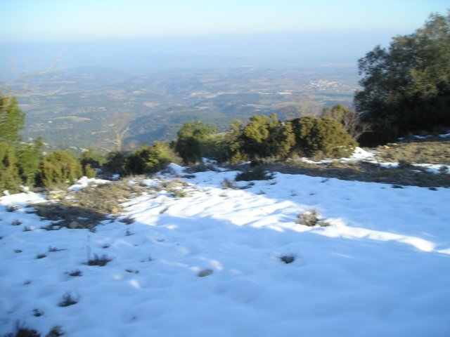 p1010012.jpg
