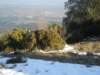 p1010014_small.jpg