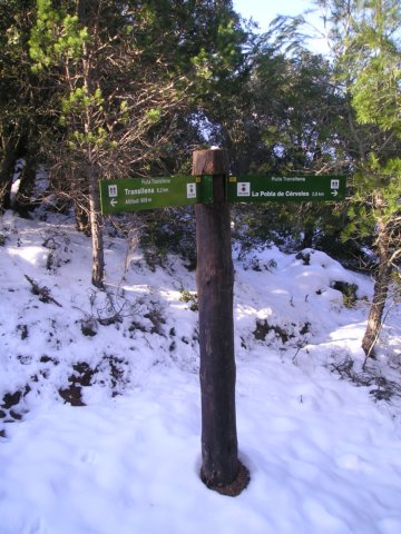 p1010027.jpg