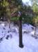 p1010027_small.jpg