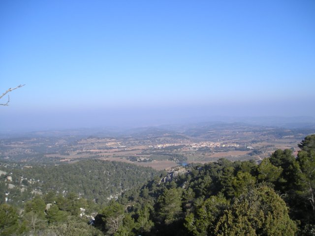 p1010031.jpg