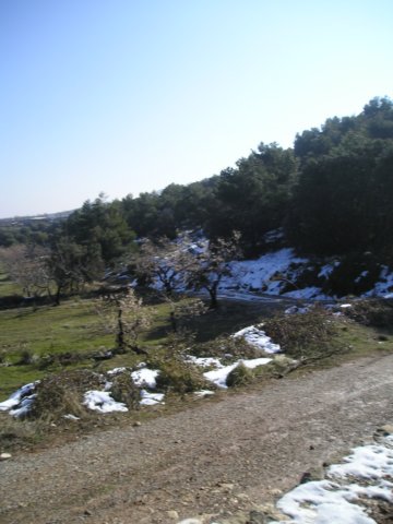 p1010033.jpg