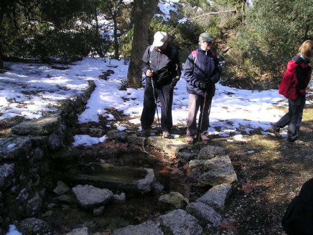 p1010036.jpg