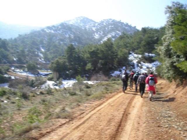 p1010040.jpg