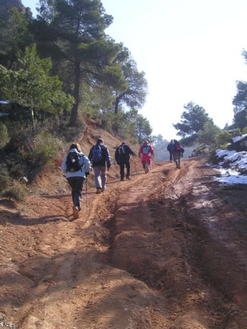 p1010043.jpg