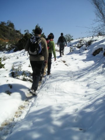 p1010082.jpg