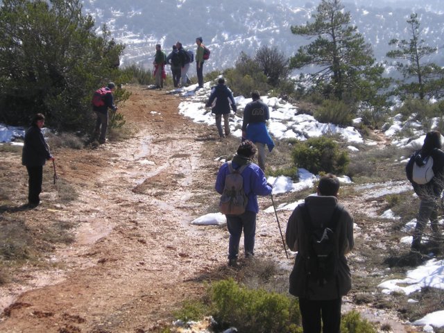 p1010087.jpg