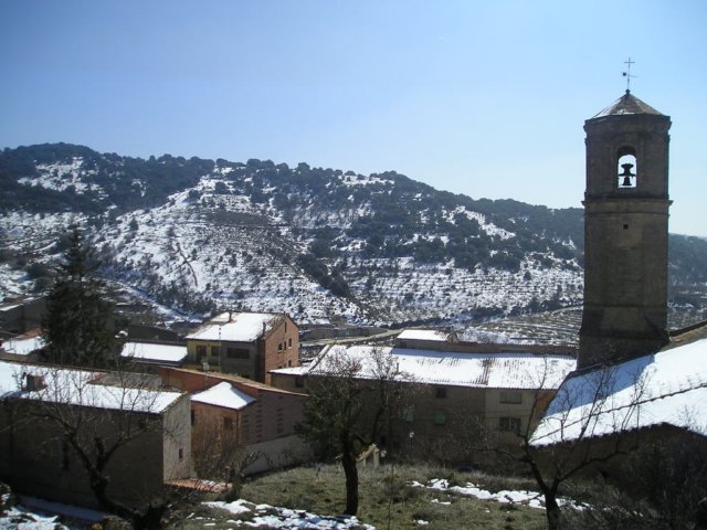 p1010093.jpg