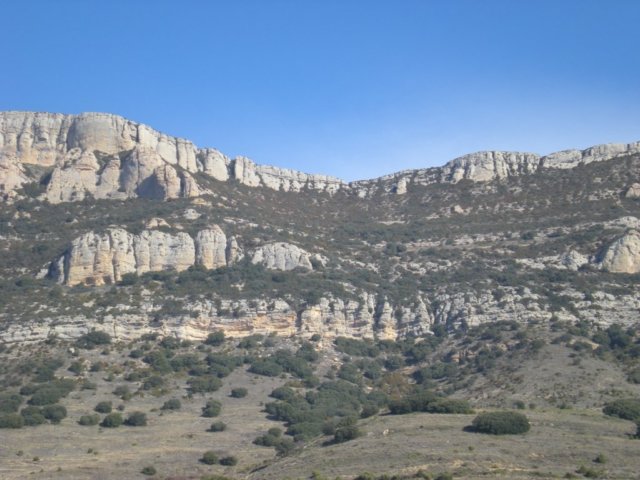 dscn0247r.jpg